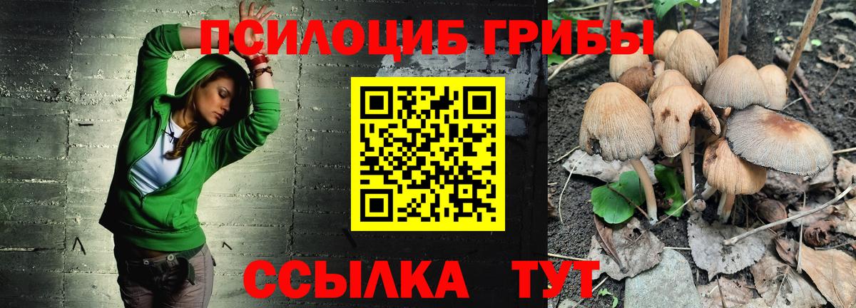 Сланцы  Псилоцибиновые грибы мухоморы  цена наркотик  Вход с VPN  Псилоцибиновые грибы мухоморы 