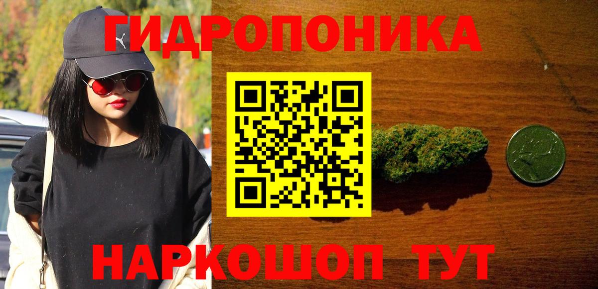 Шишки марихуана OG Kush Сланцы